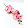 Orchidée artificielle H 78cm